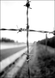 (Photo by Scott Langley.)