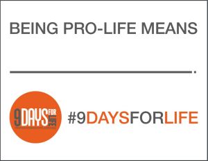 Pro-Life Selfie Sign