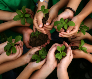 iStock_000006715814Large